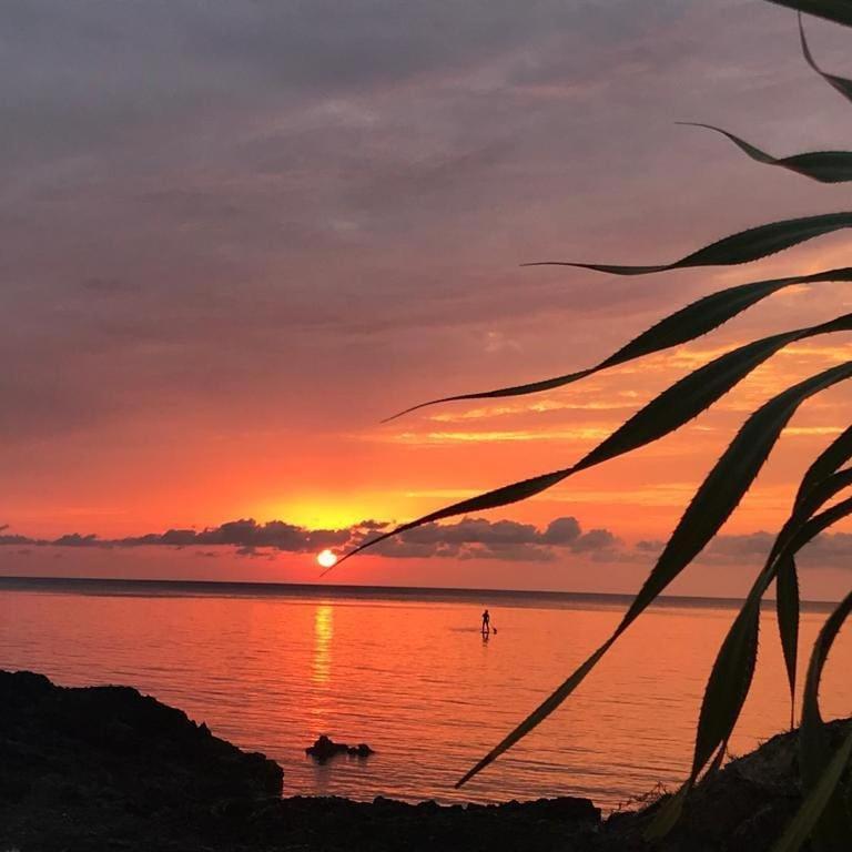 Hotel Tropical Surf House Okinawa Onna Zewnętrze zdjęcie